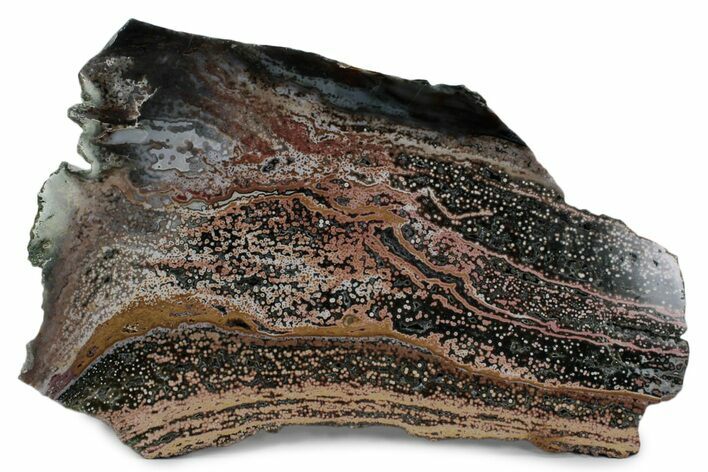 Spectacular, Polished Orbicular Ocean Jasper Slab - Madagascar #379373